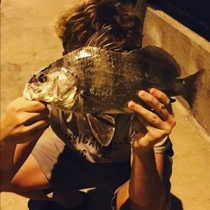 Meet your Posher, Deacon